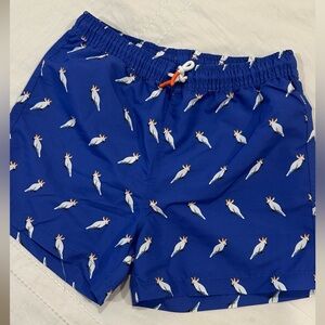Zara boys swim trunks cockatoo parrot print size 11-12 years